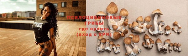героин Анива