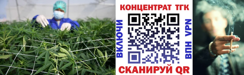 закладки  Дигора  ТГК концентрат 